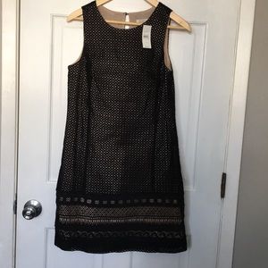 Ann Taylor Loft Cocktail Dresses Petite Dresses Ann Taylor Loft Green Dress Ladies Dresses Ann Ann Taylor Loft Cocktail Dresses Petite Dresses Ann Taylor Loft Green Dress Ladies Dresses Ann